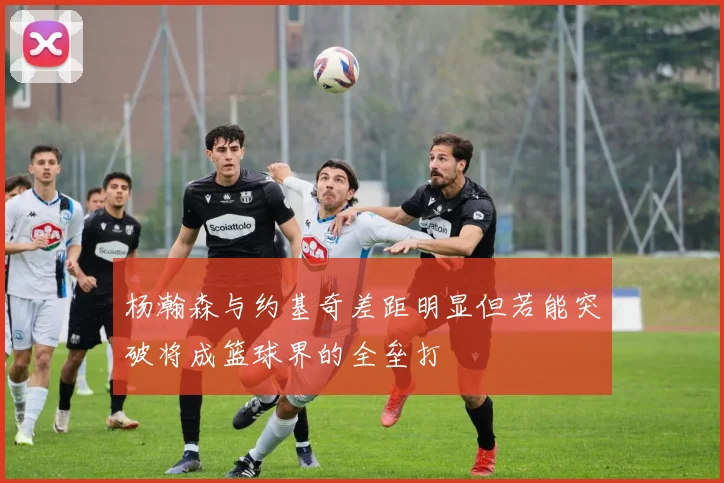 杨瀚森与约基奇差距明显但若能突破将成篮球界的全垒打