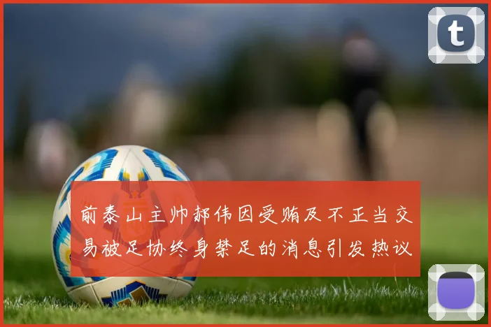 前泰山主帅郝伟因受贿及不正当交易被足协终身禁足的消息引发热议