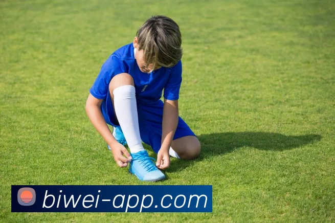 必威体育平台生态图